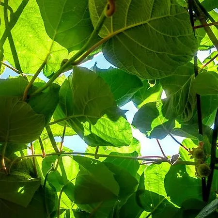 Stressfree Apartment