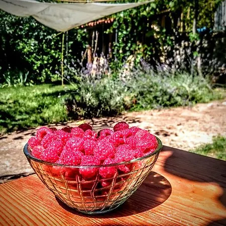 Stressfree Apartment Icici