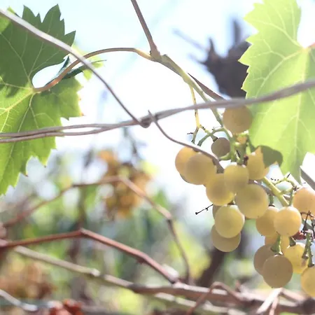 Stressfree Apartment *