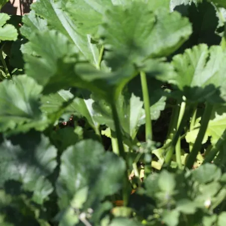 Apartment Stressfree