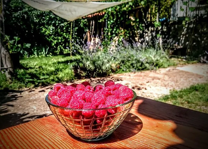 Stressfree Apartment Icici