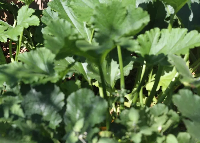 Apartment Stressfree