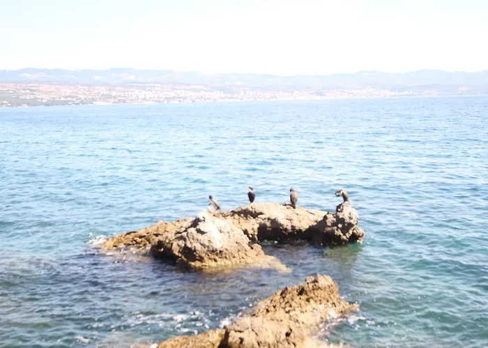 Apartment Stressfree *