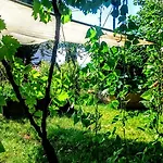 Stressfree * Ičići