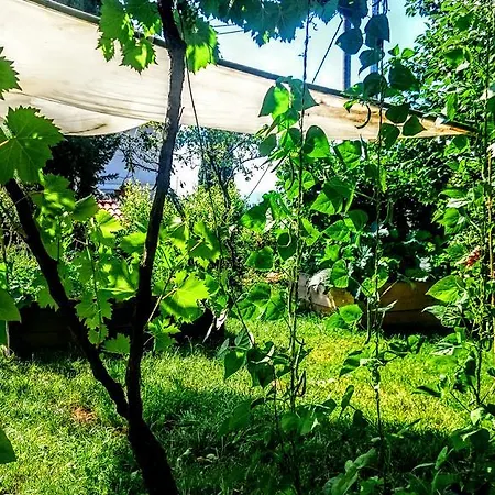 Stressfree * Ičići