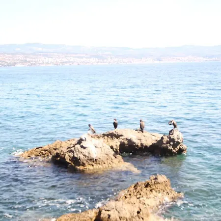 Appartement Stressfree *