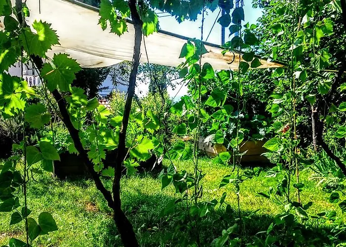 Stressfree * Ičići